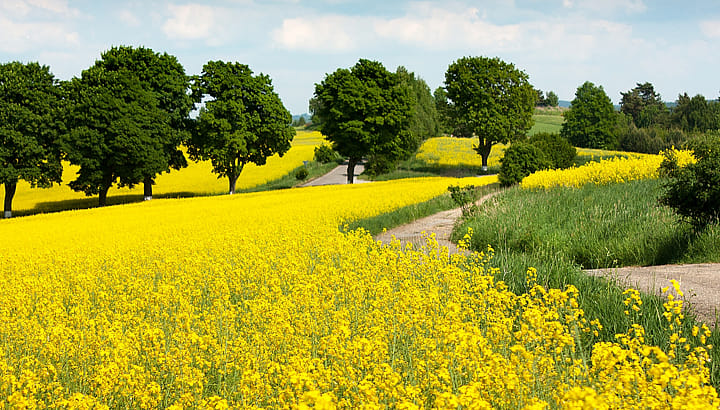 Ecological Sustainability | BORGA