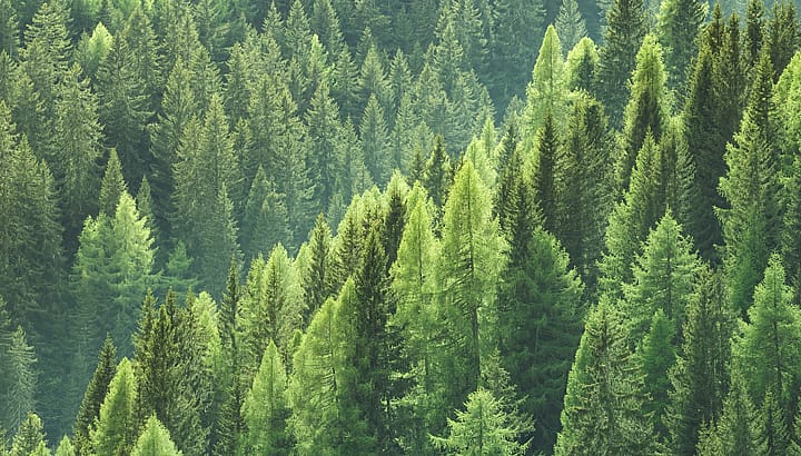 Economic Sustainability | BORGA